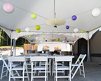 DREAM VISION FUNDRAISER FOR JAPAN RELIEF AT THE MATTHEWS WINERY