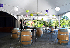 DREAM VISION FUNDRAISER FOR JAPAN RELIEF AT THE MATTHEWS WINERY