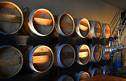 DREAM VISION FUNDRAISER FOR JAPAN RELIEF AT THE MATTHEWS WINERY