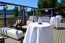 DREAM VISION FUNDRAISER FOR JAPAN RELIEF AT THE MATTHEWS WINERY