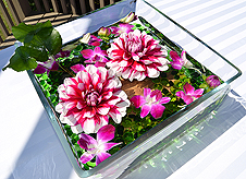 DREAM VISION FUNDRAISER FOR JAPAN RELIEF AT THE MATTHEWS WINERY