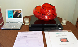 DREAM VISION FUNDRAISER FOR JAPAN RELIEF AT THE MATTHEWS WINERY