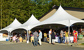 DREAM VISION FUNDRAISER FOR JAPAN RELIEF AT THE MATTHEWS WINERY