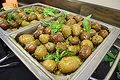 NOW NETWORKING - EVERETT