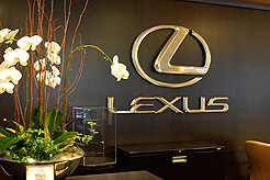 POWER AND BEAUTY CHARITY EVENT