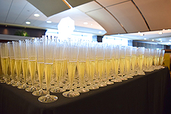 POWER AND BEAUTY CHARITY EVENT