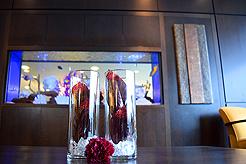 POWER AND BEAUTY CHARITY EVENT