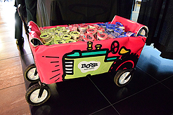 POWER AND BEAUTY CHARITY EVENT