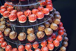 POWER AND BEAUTY CHARITY EVENT