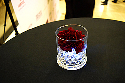 POWER AND BEAUTY CHARITY EVENT