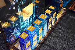 POWER AND BEAUTY CHARITY EVENT