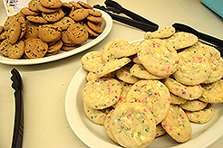 RENEWING OF REENTRY SYMPOSIUM