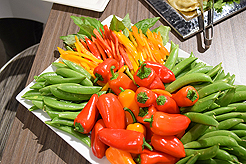 GLOBAL FURNITURE OPEN HOUSE