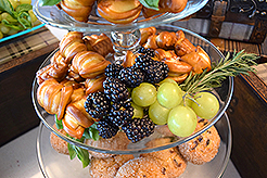 THE GREAT SEATTLE BAKE OFF