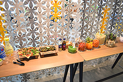 INTERIOR OFFICE SYSTEMS