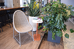 PEOPLESPACE - MULTI-VENDOR