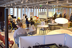 KNOLL CATWALK FASHION SHOW