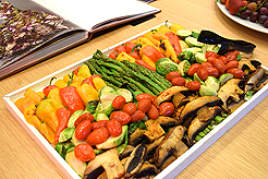 KNOLL CATWALK FASHION SHOW