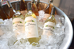 MG2 - ART INSTALLATION