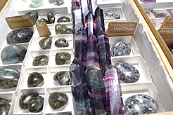 MG2 - HOLIDAY MARKET