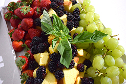 MG2 - THE RETAIL STUDIO