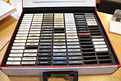 MITHUN - MULTI-VENDOR