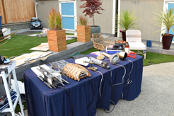 MOMENTUM AND SOURCE DIRECT NW