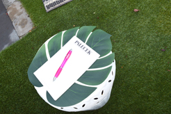 MOMENTUM AND SOURCE DIRECT NW