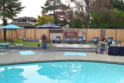 MOMENTUM AND SOURCE DIRECT NW