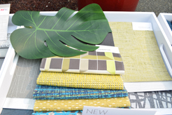 MOMENTUM AND SOURCE DIRECT NW