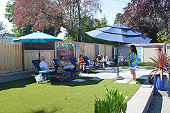 MOMENTUM AND STEPHANIE POLIAKOFF