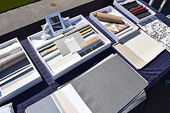 MOMENTUM AND STEPHANIE POLIAKOFF