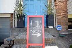 MOMENTUM - MULTI-VENDOR