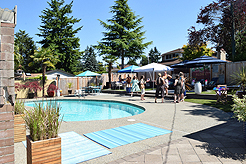 MOMENTUM - MULTI-VENDOR