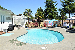 MOMENTUM - MULTI-VENDOR