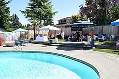 MOMENTUM - MULTI-VENDOR