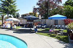 MOMENTUM - MULTI-VENDOR