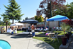 MOMENTUM - MULTI-VENDOR