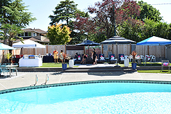 MOMENTUM - MULTI-VENDOR