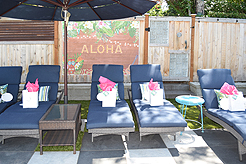 MOMENTUM - MULTI-VENDOR