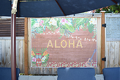 MOMENTUM - MULTI-VENDOR