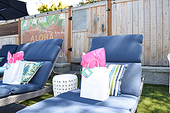 MOMENTUM - MULTI-VENDOR