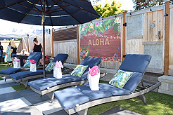 MOMENTUM - MULTI-VENDOR