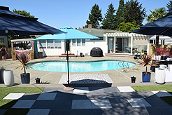 MOMENTUM - MULTI-VENDOR