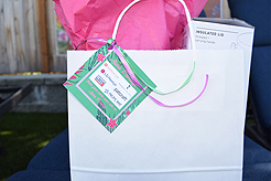 MOMENTUM - MULTI-VENDOR