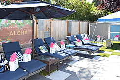 MOMENTUM - MULTI-VENDOR