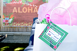 MOMENTUM - MULTI-VENDOR