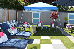 MOMENTUM - MULTI-VENDOR