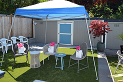 MOMENTUM - MULTI-VENDOR