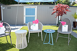 MOMENTUM - MULTI-VENDOR